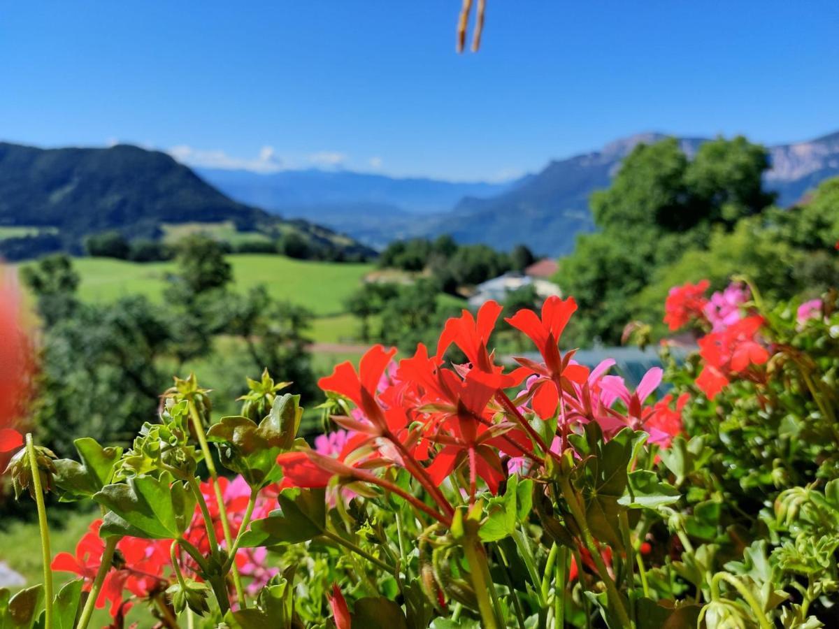 Moarhof Otel Mölten Dış mekan fotoğraf